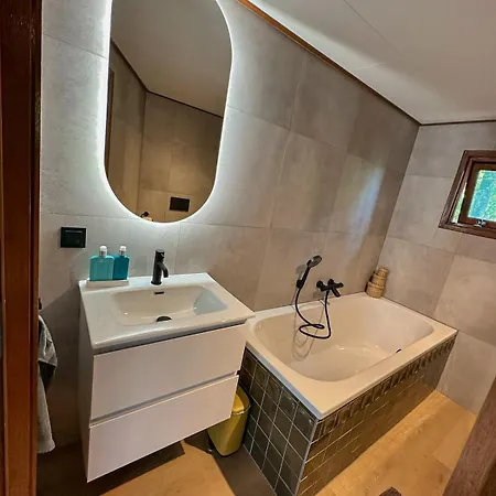 Boshuisjes Veluwe Lila Met Omheinde Tuin *